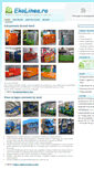 Mobile Screenshot of ekolinea.ro